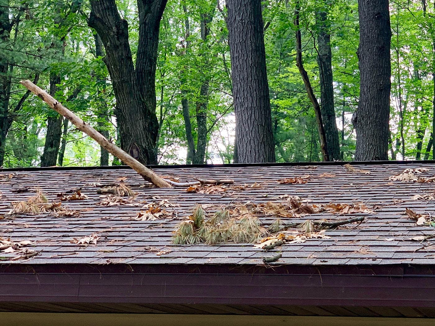 Tree impact damage on a residential roof