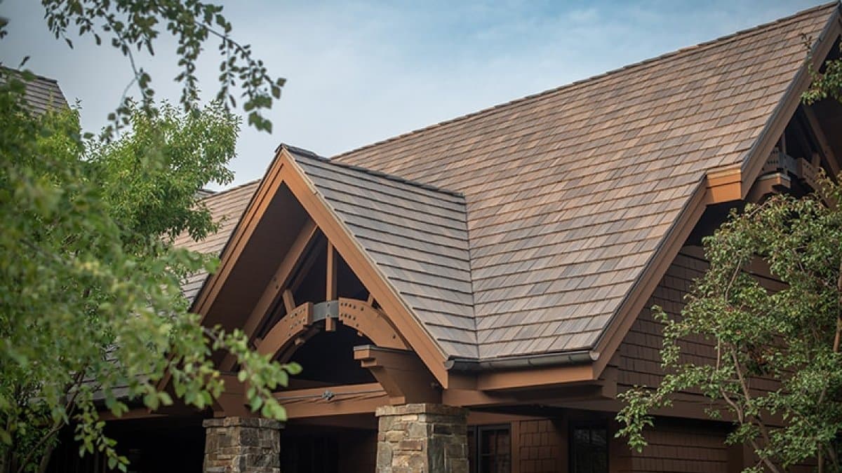 DaVinci Bellaforte Shake